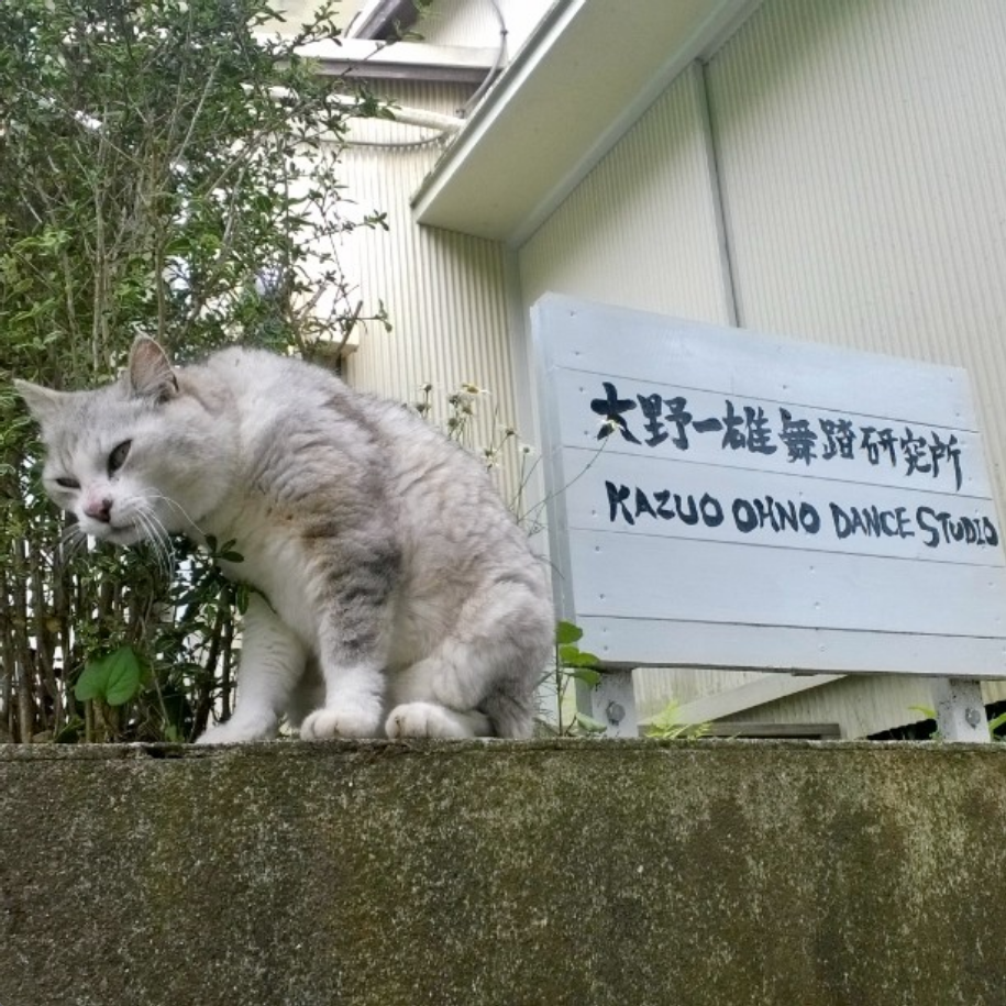 Kazuo Ohno dance studio.png